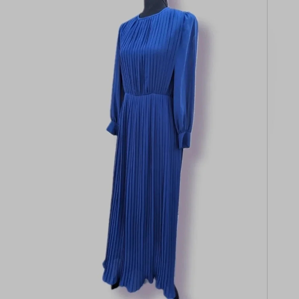 Vintage Pleated Chiffon Dress- Japanese- Robe de Command- Floor length Georgette